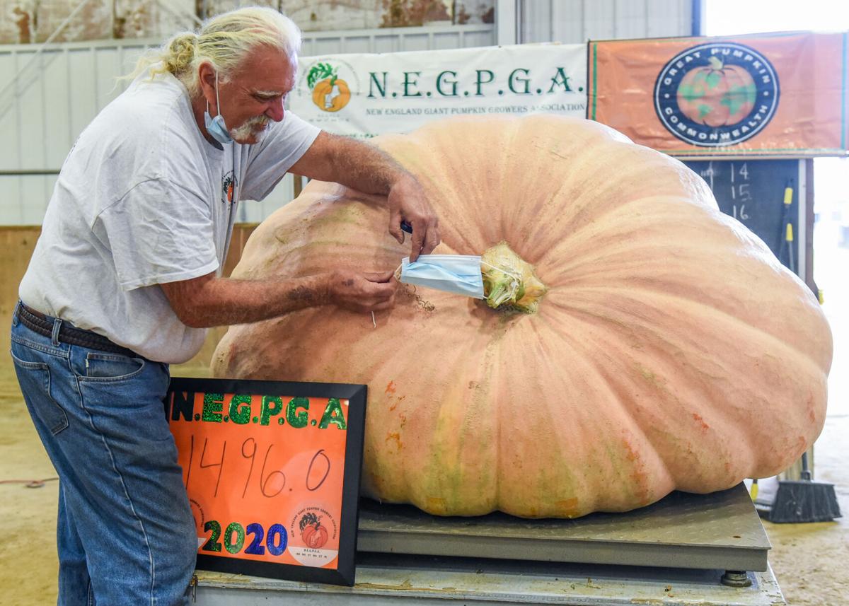 201002_JCA_SN_TOPSPUMPKINWEIGHIN_001.JPG