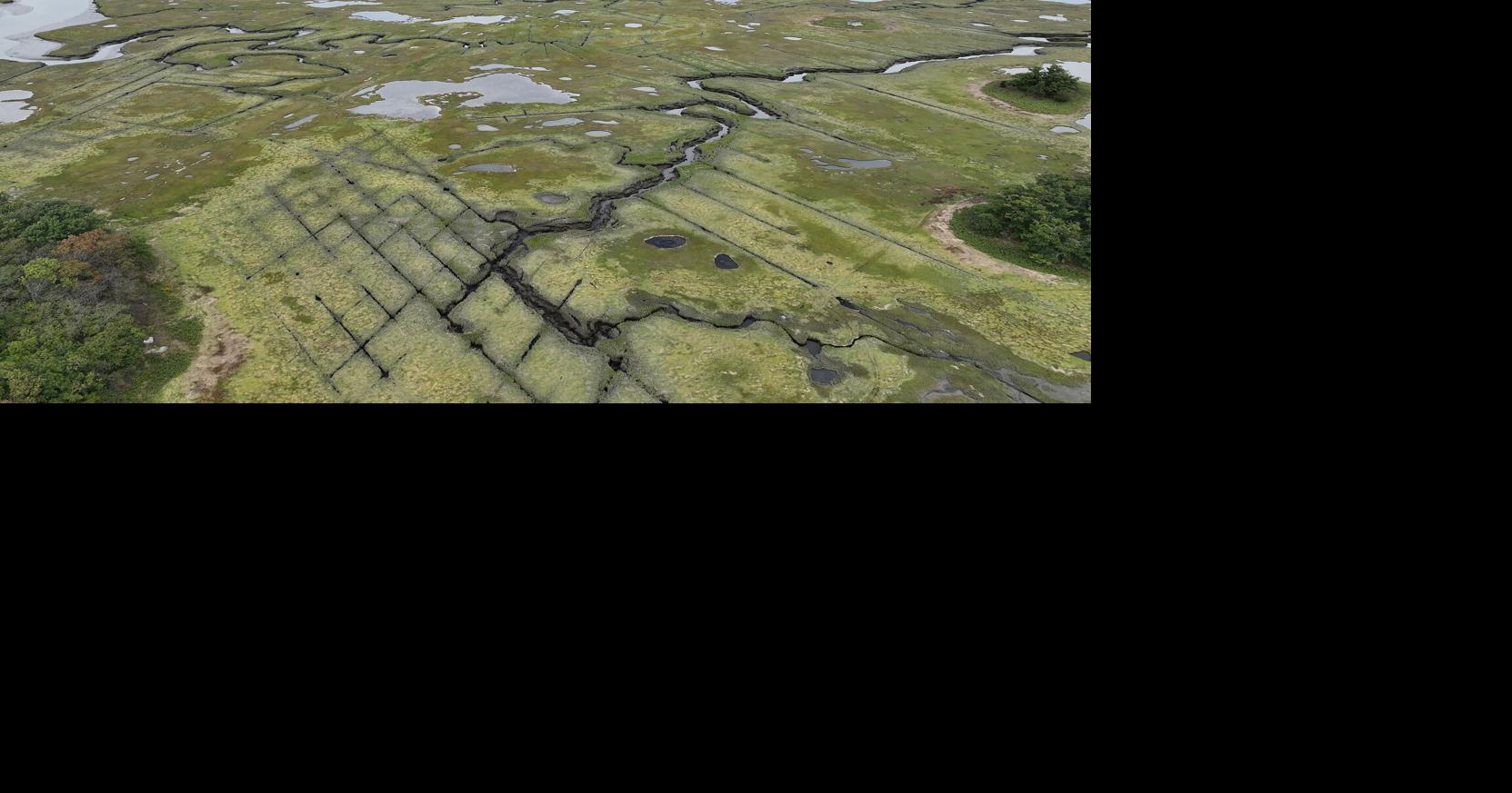 Great Marsh restoration project moving to Essex | Local News ...