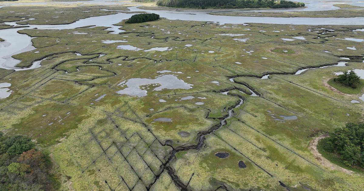 Marsh Management Project Great Marsh restoration project moving to Essex | Local News ...