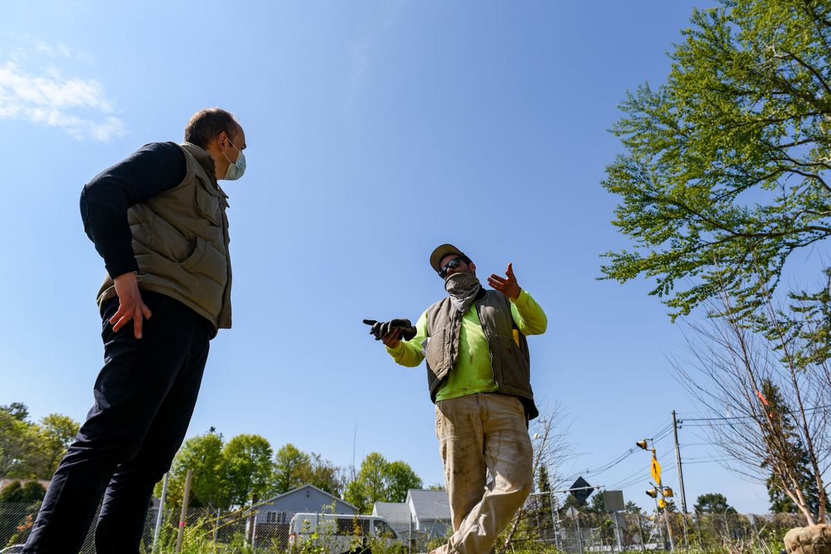 60 trees being planted at White Ellery House off Grant Circle