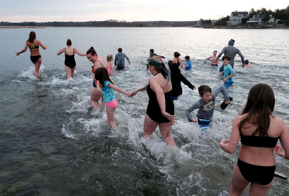 You're not a polar bear: The plunge into cold water comes with risks, News