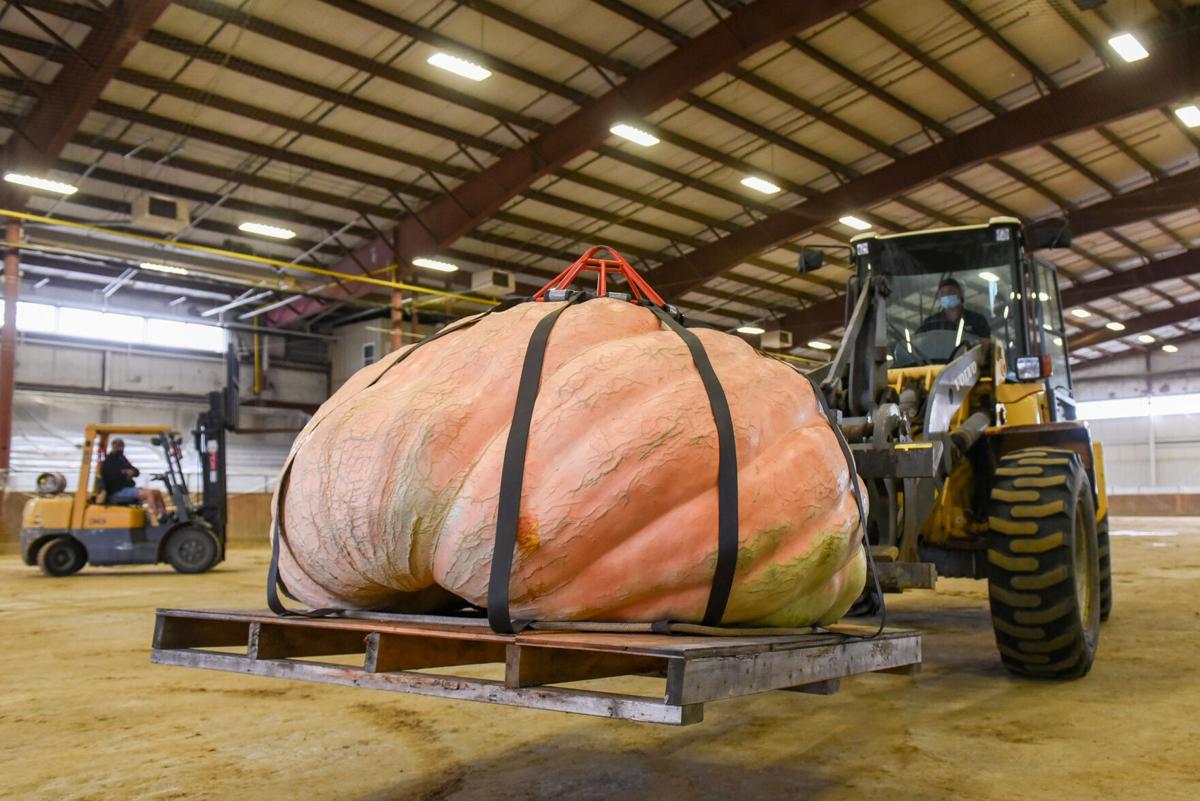 201002_JCA_SN_TOPSPUMPKINWEIGHIN_003.JPG