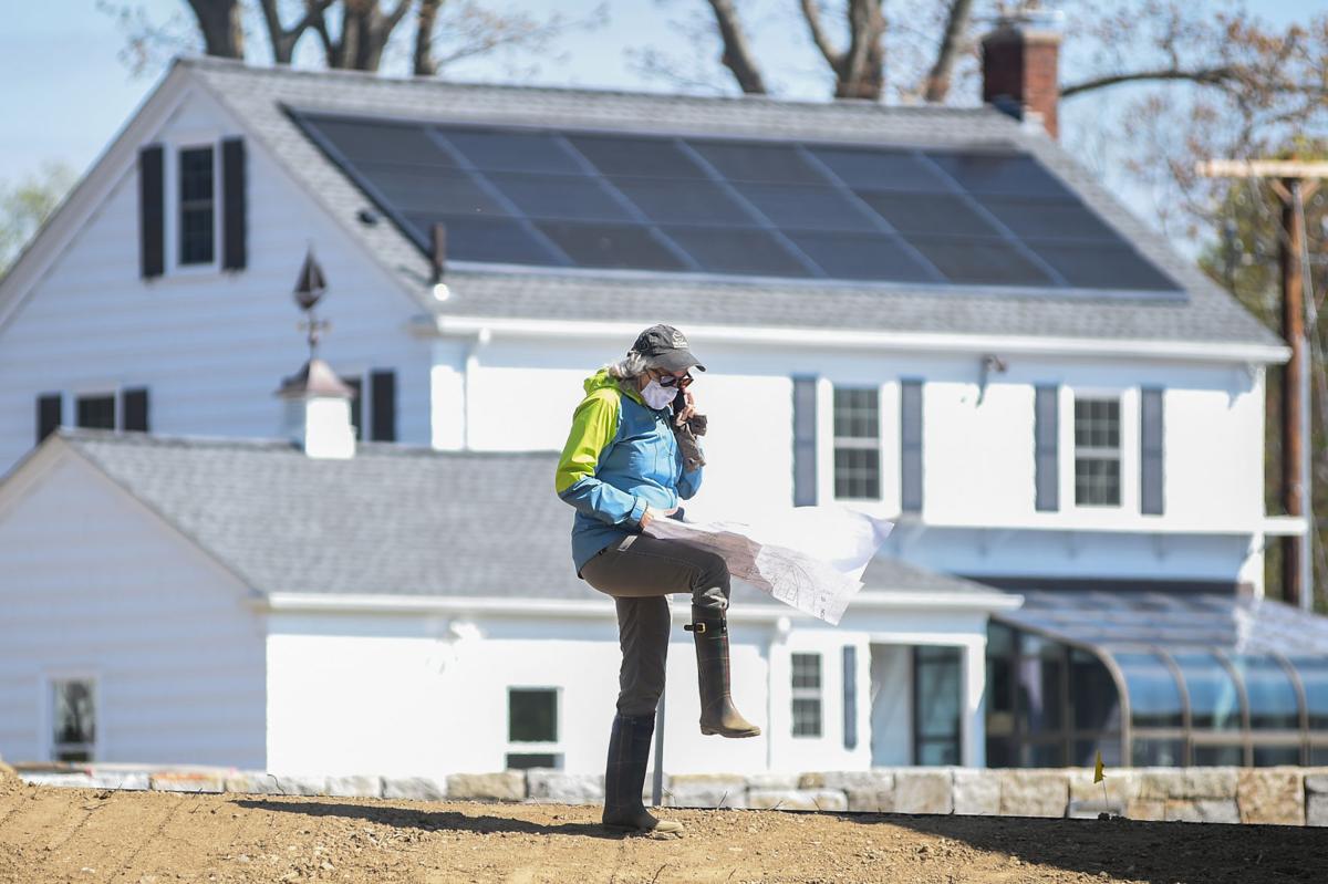 60 trees being planted at White Ellery House off Grant Circle