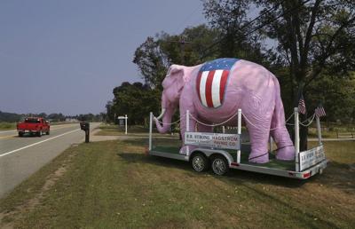 Huge Pink Elephant Stops Traffic In Essex Local News Gloucestertimes Com