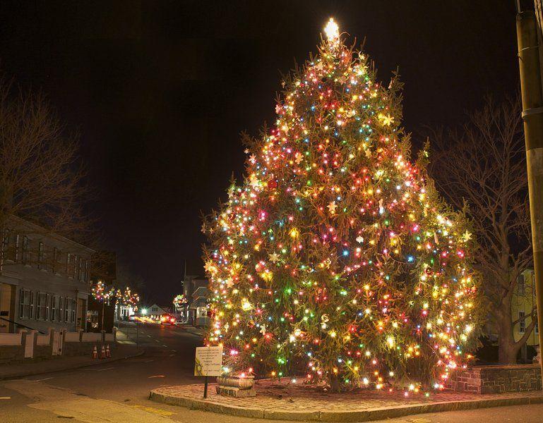 Filmmaker to capture journey of Rockport's Christmas tree Local News