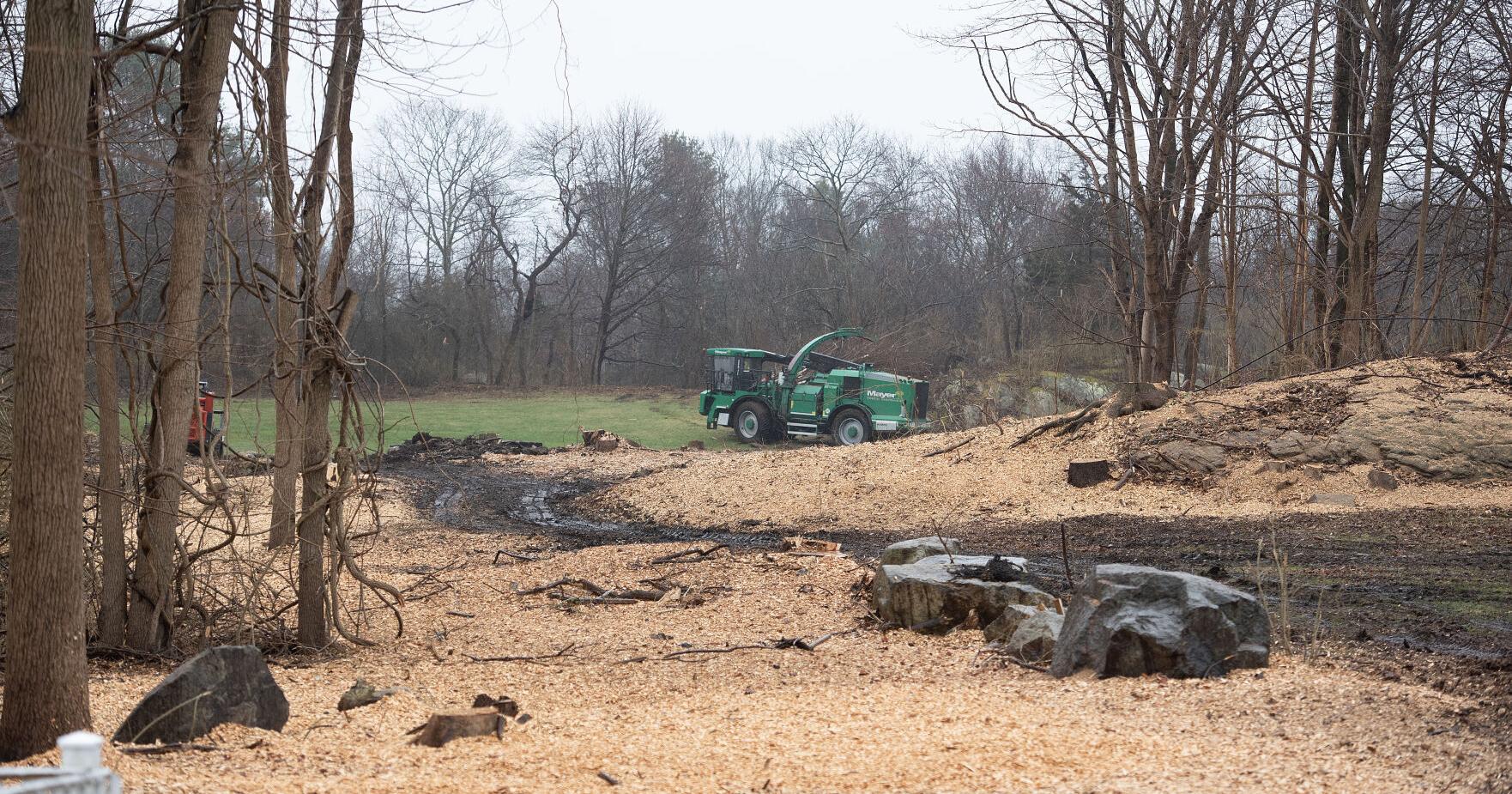 Tree clearing catches East Gloucester neighborhood off guard - Vimarsana News