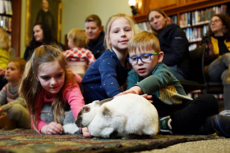 Curious Creatures: Children meet animals