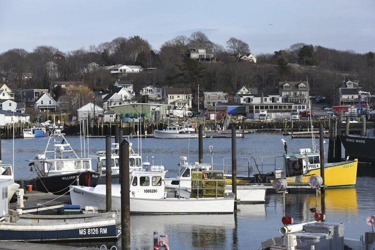 Lobster boat tracking coming to protect whales, fishery ...