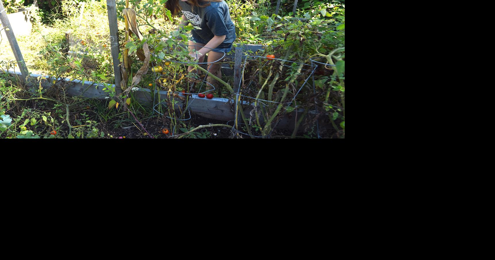 Willowood community garden expands with agriCulture project News