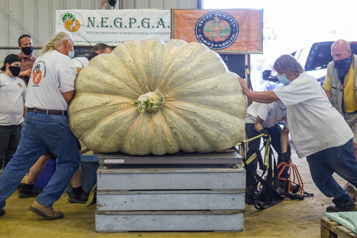 201002_JCA_SN_TOPSPUMPKINWEIGHIN_009.JPG