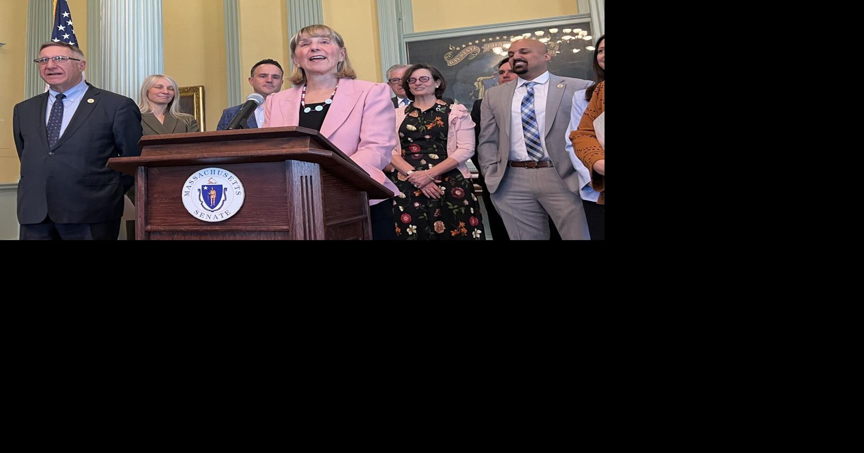 Senate Democrats pledge more aid to cities, towns