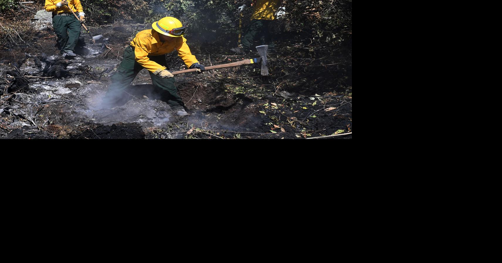 Wildfire Community Preparedness Day: Gloucester Fire Department offers tips to protect your property