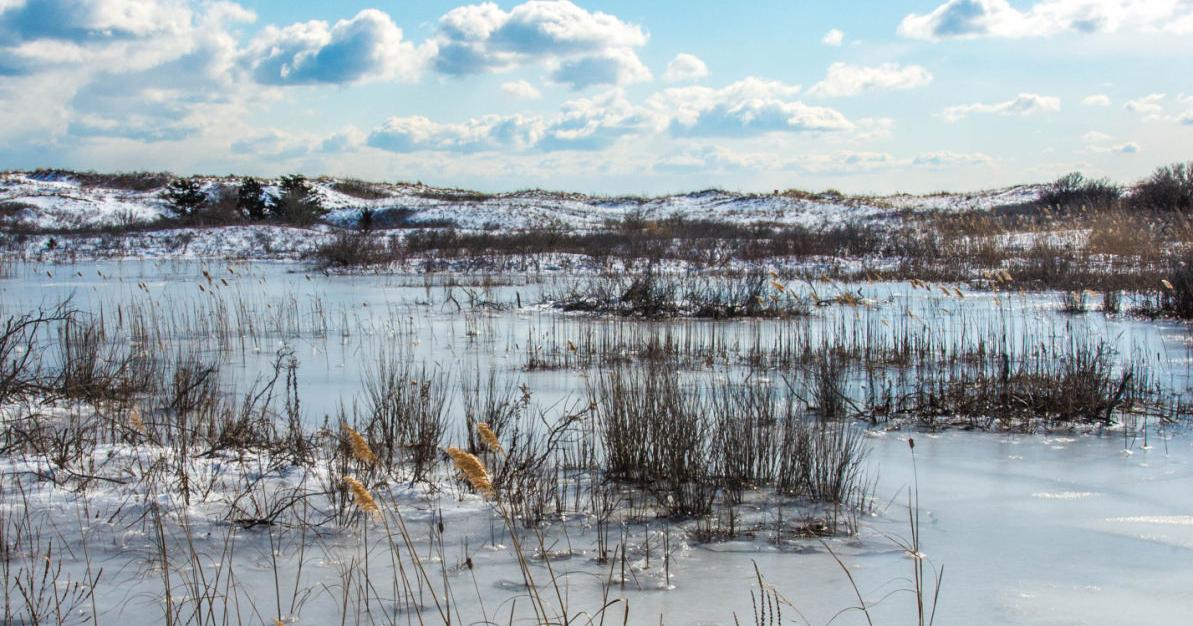 Gloucester to receive pro help with strengthening Good Harbor Beach