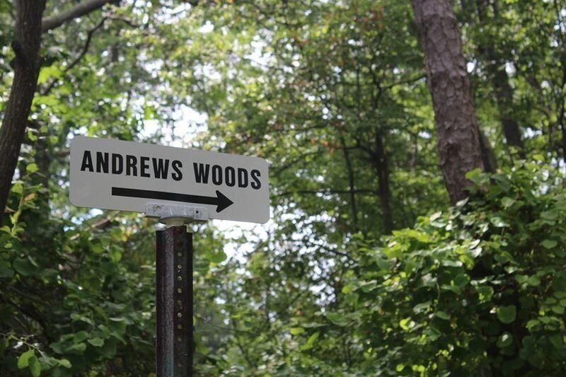 Advocates push for Rockport to conserve Andrews Woods - Vimarsana News