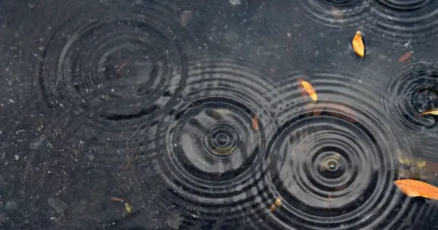 Work of local high school students showcased in photography exhibit