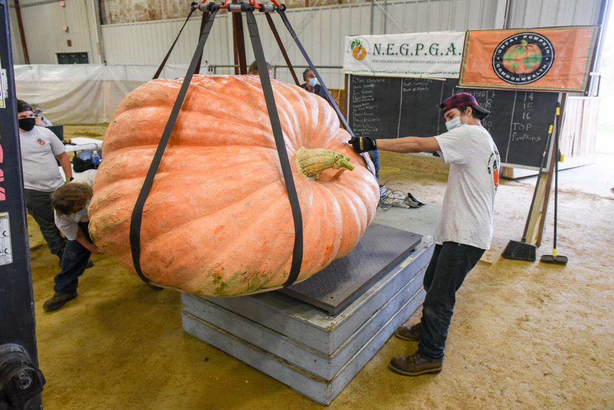 201002_JCA_SN_TOPSPUMPKINWEIGHIN_012.JPG