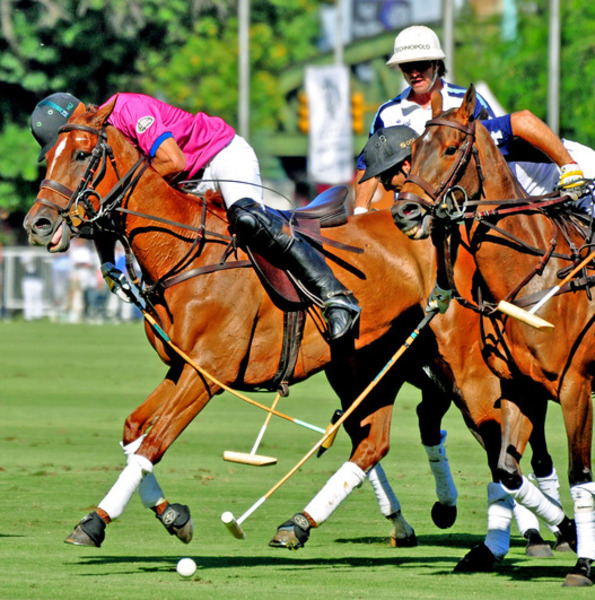 Green polo shirt clearance with orange horse