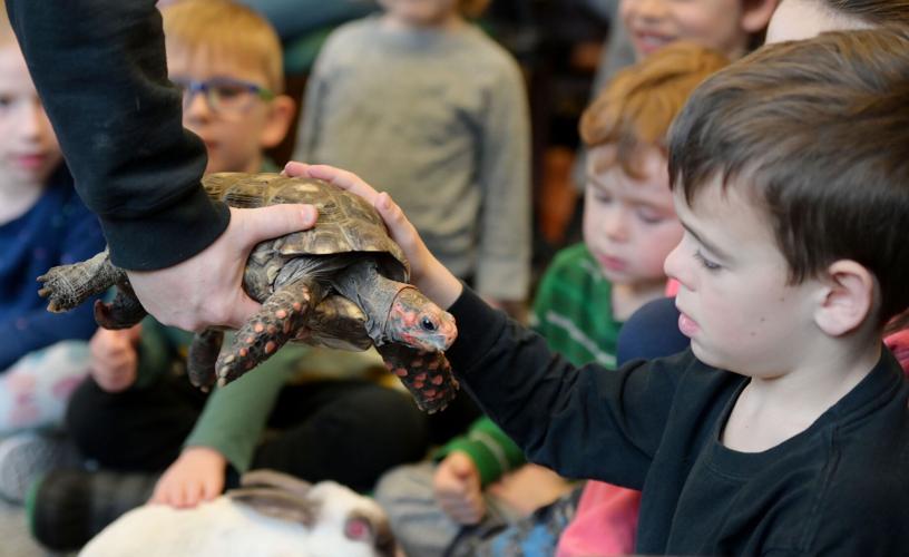 Curious Creatures: Children meet animals