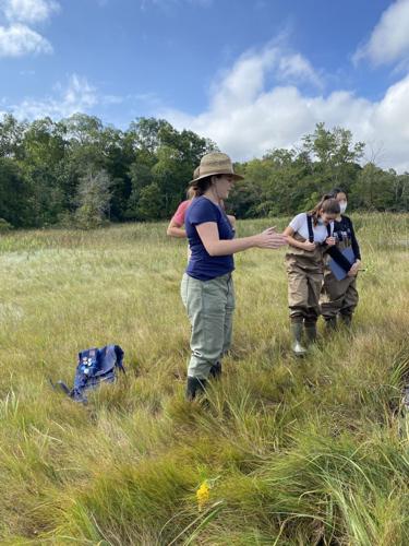 Governor's Academy students study the Great Marsh