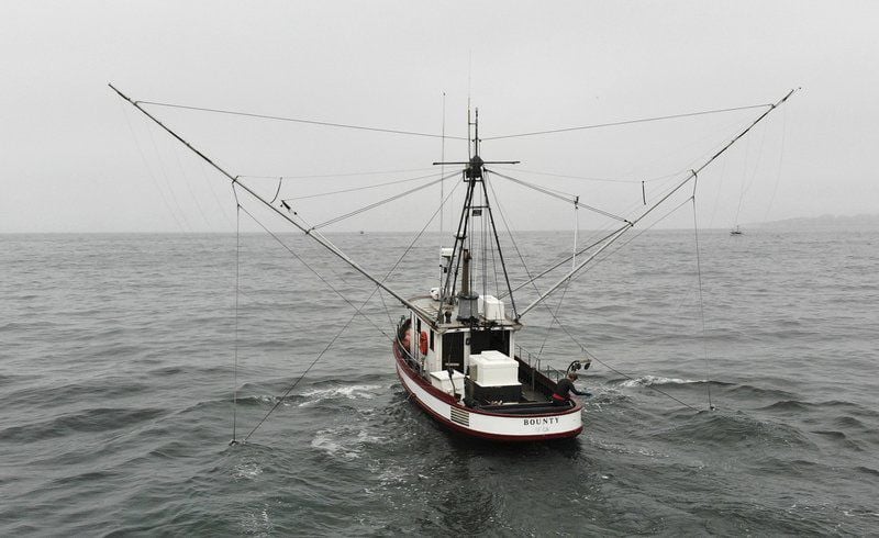 King Salmon - Pier Fishing in California