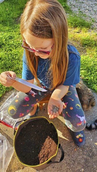 Second Graders Get Seeds To Salads Gro Kits From Backyard Growers Local News Gloucestertimes Com