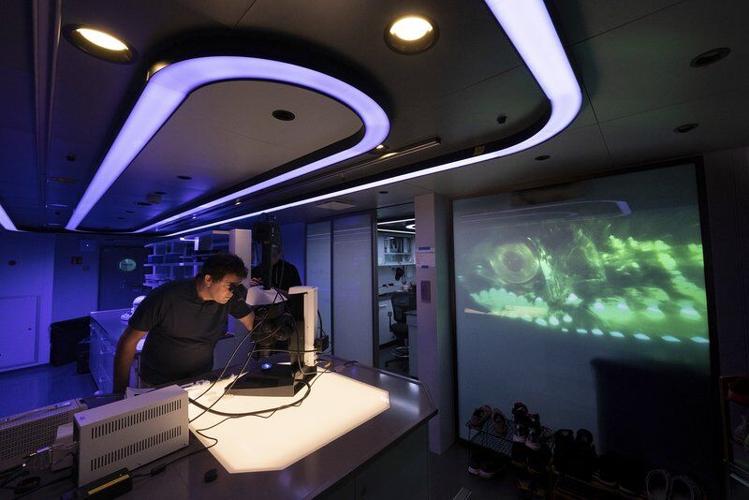 GMGI, OceanX join to explore the seas | Local News ...