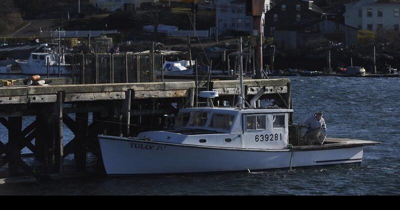 NOAA acknowledges shortage of gear to protect whales | News ...