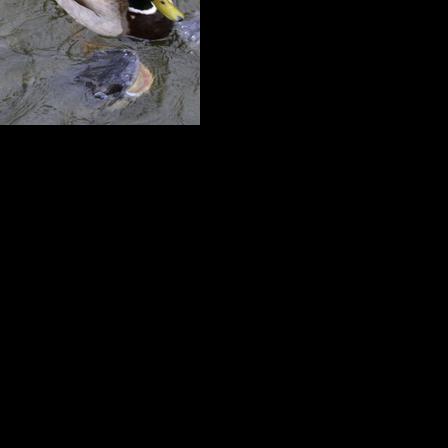 Primitive firearms season opens next week for deer hunting | Sports ...