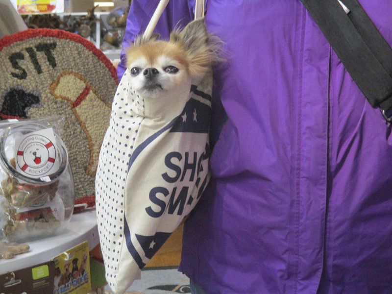 Rockport pet boutique moving to bigger space Local News