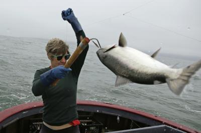 Salmon fishing banned off the California coast for the second year in a row
