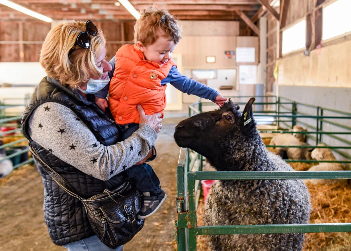 Topsfield Fair preparations
