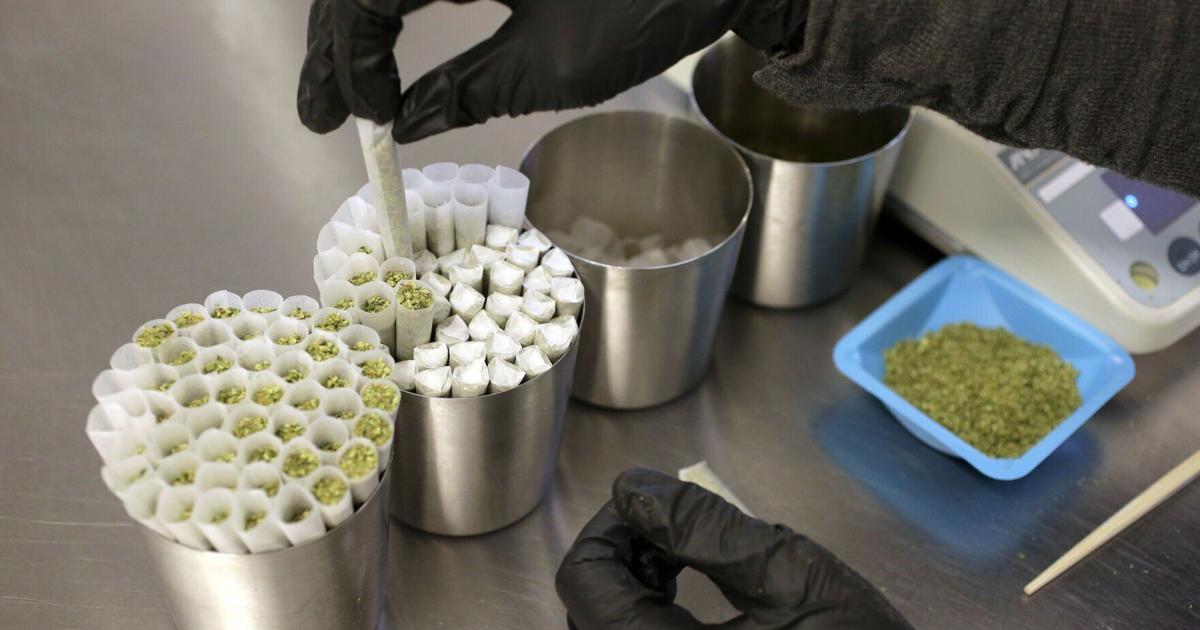 Marijuana question signatures challenged