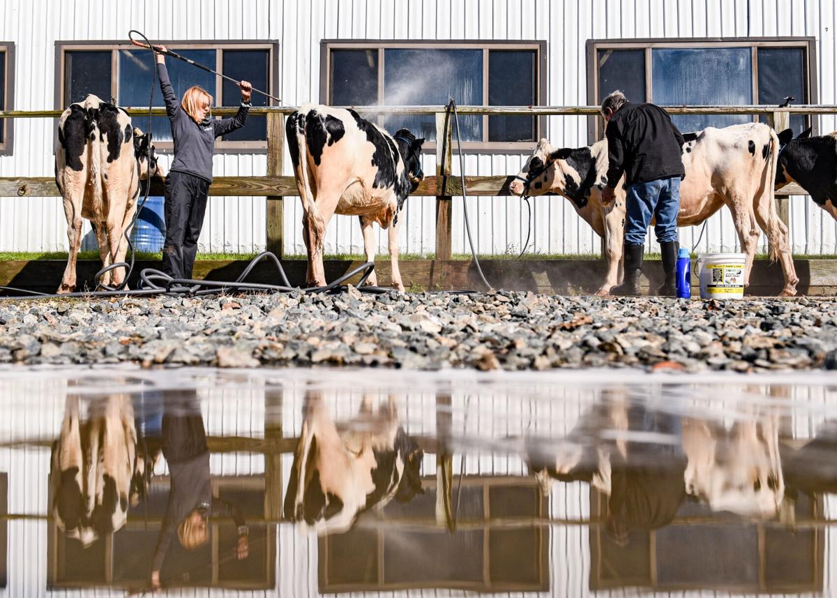 Topsfield Fair preparations