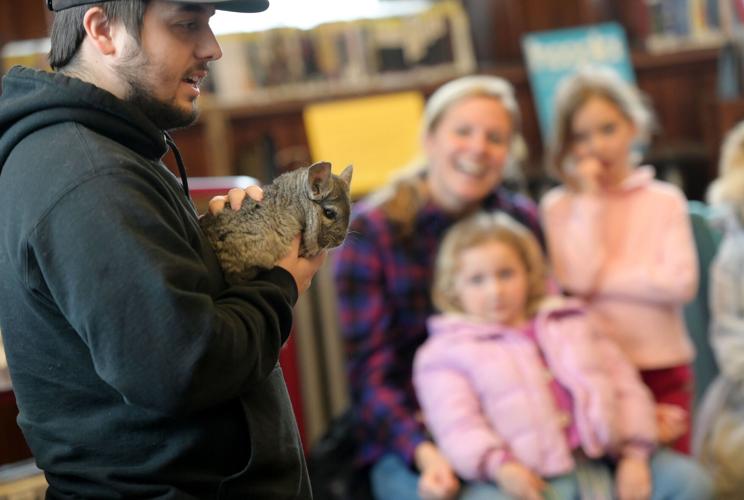Curious Creatures: Children meet animals