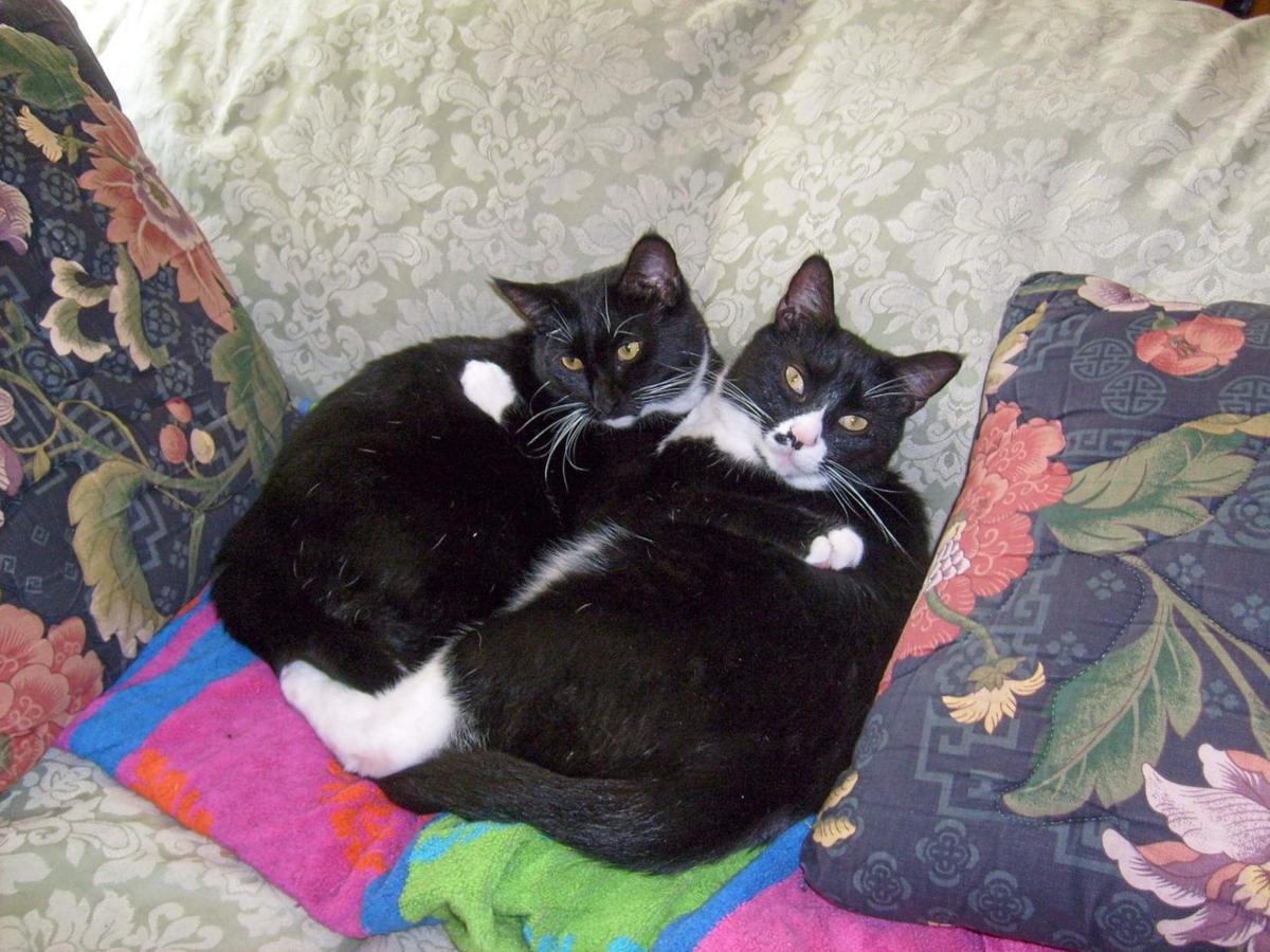 LENNY AND STANLEY.JPG