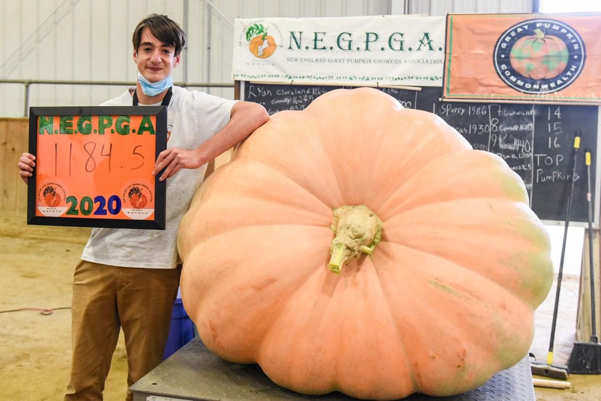 201002_JCA_SN_TOPSPUMPKINWEIGHIN_026.JPG