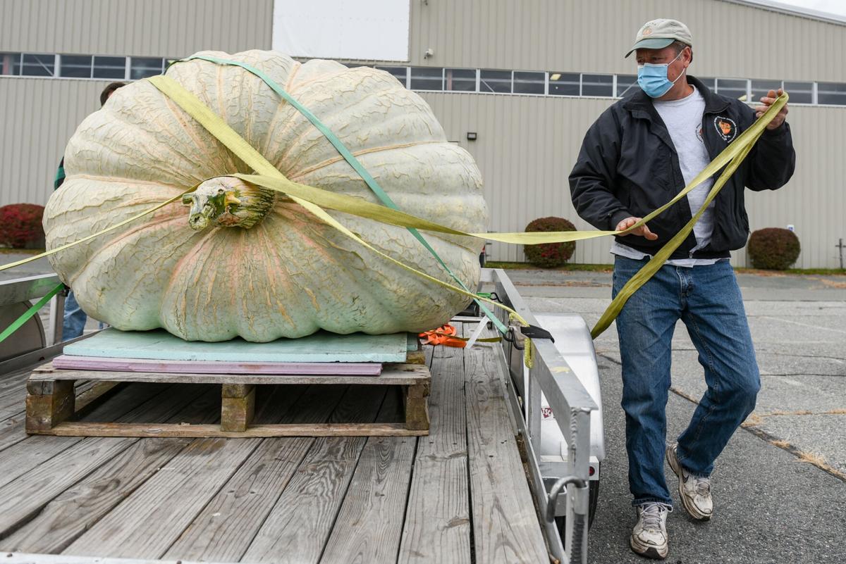201002_JCA_SN_TOPSPUMPKINWEIGHIN_028.JPG