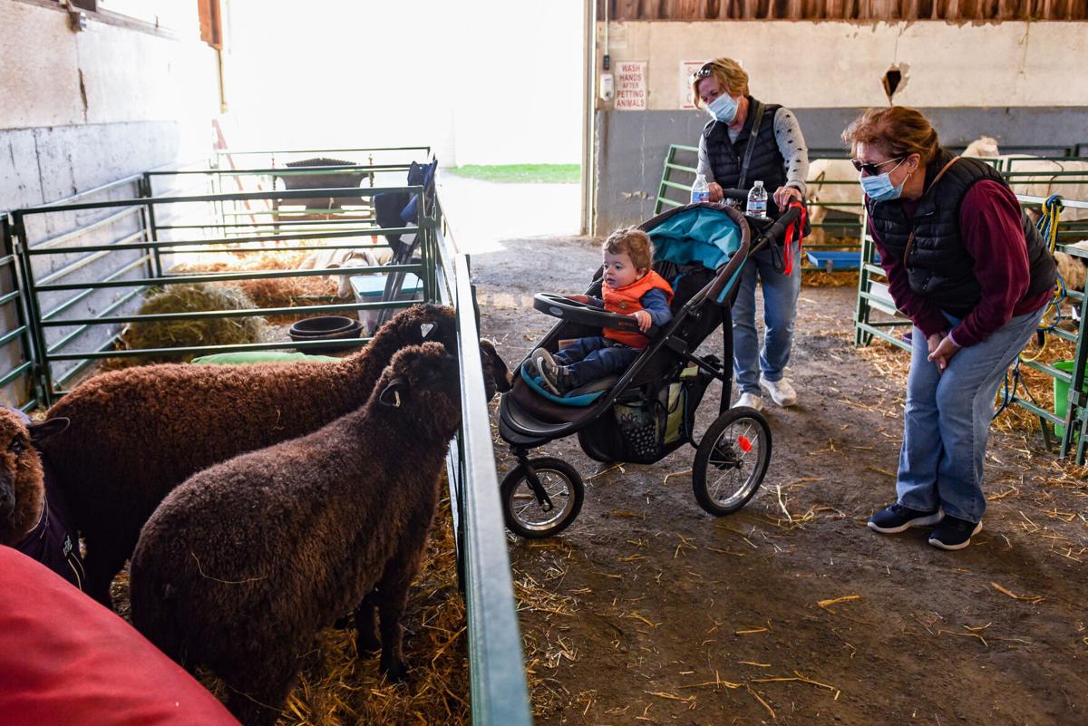 Topsfield Fair preparations