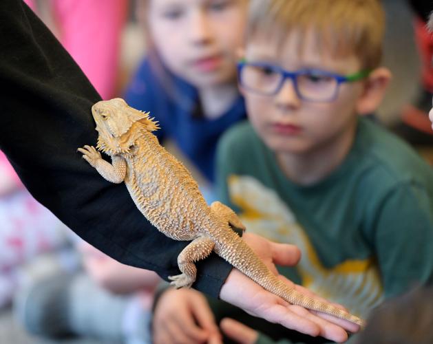 Curious Creatures: Children meet animals