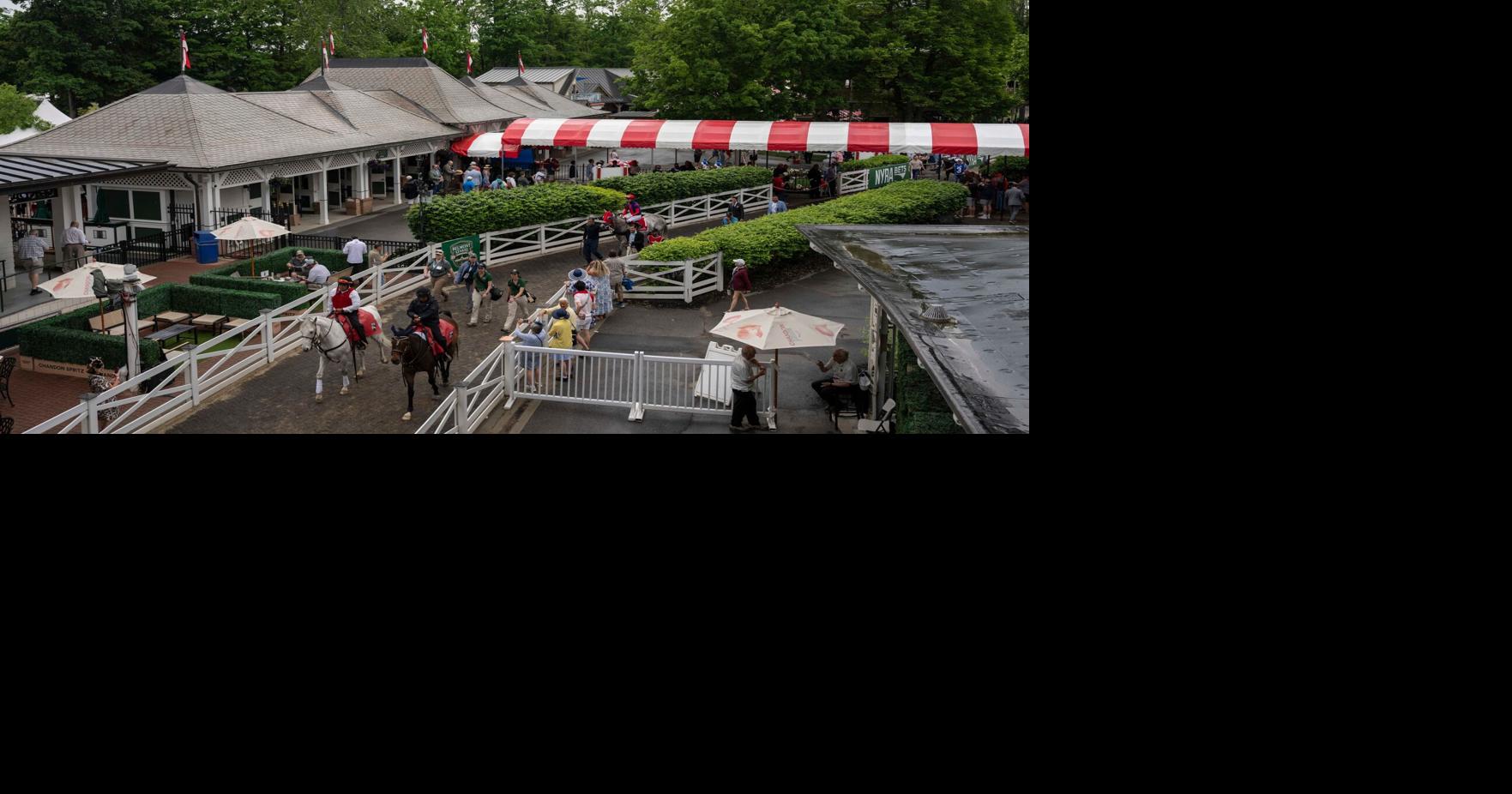 Golden Tempo wins the 158th running of the Belmont Stakes after winning the Kentucky Derby