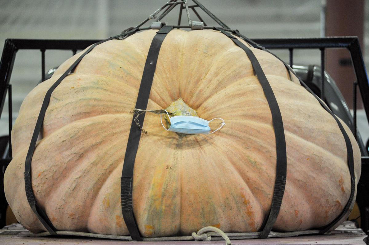 201002_JCA_SN_TOPSPUMPKINWEIGHIN_030.JPG