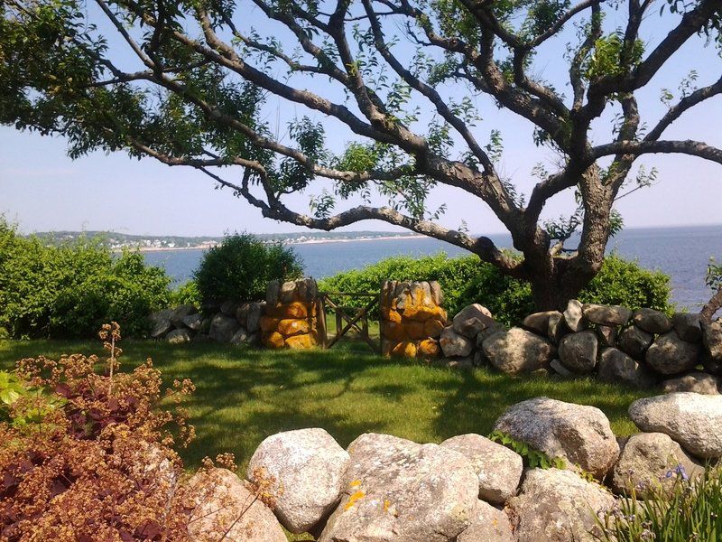 A experience Tour Rockport gardens as artists recreate them on
