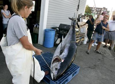 60-inch Bluefin Tuna Caught on 18-foot Bay Boat - On The Water