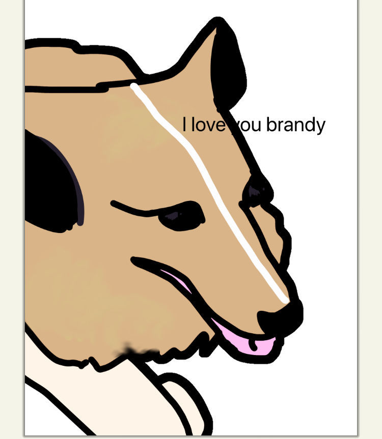BRANDY 2.jpg