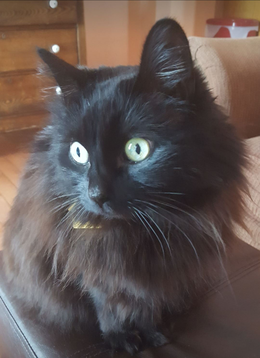 HOLLY.jpg