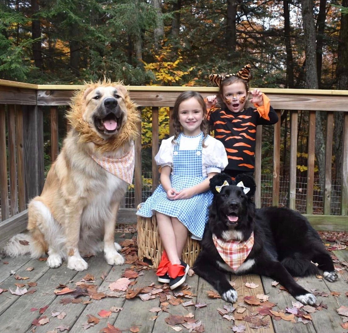 Wizard of Oz