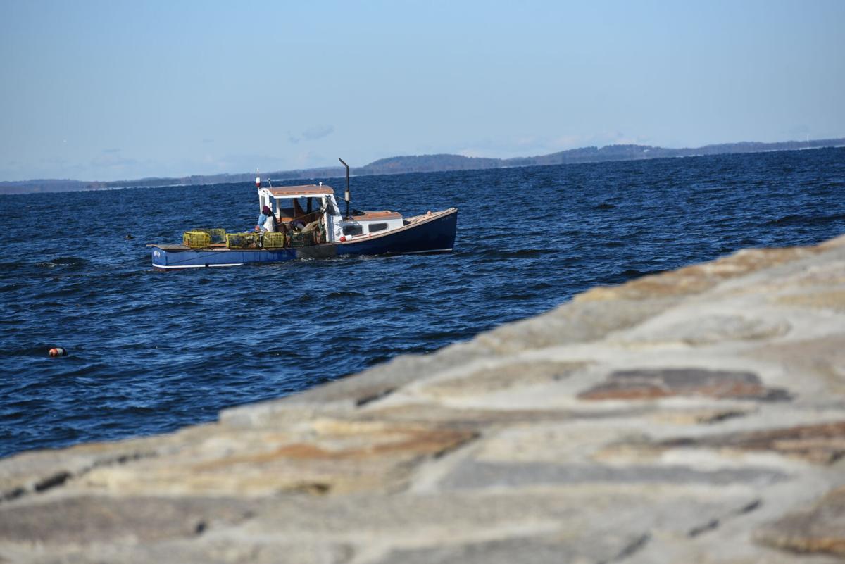 Collecting the catch under a clear sky