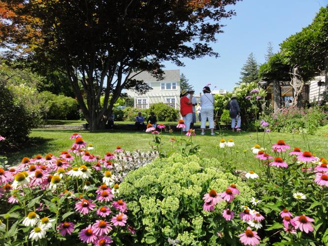 Tour Rockport gardens as artists recreate them on canvas News