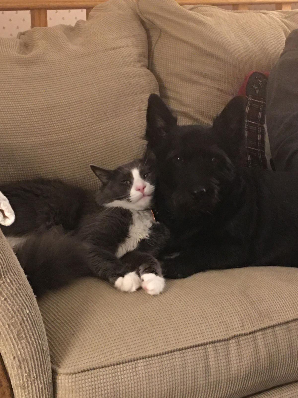 LUNA AND BEANS.jpg
