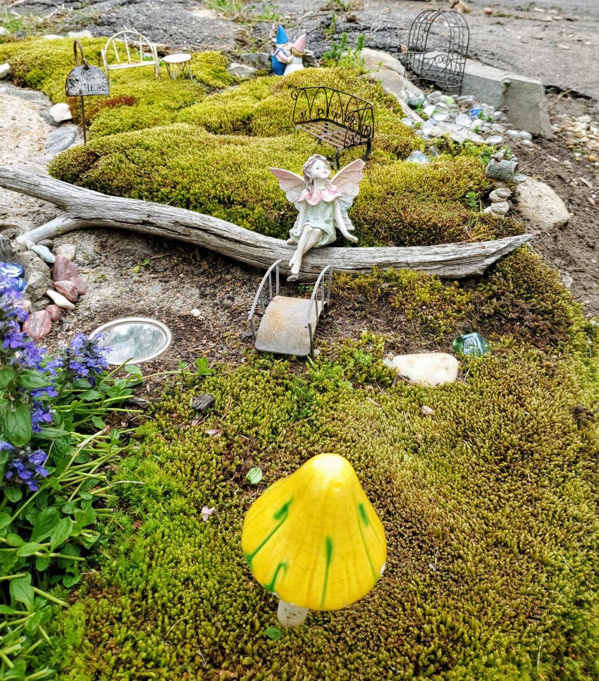adult garden